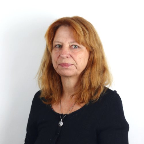 Lektor Čeština pro cizince, Francouzština