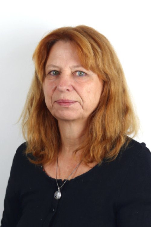 Výuka: Čeština pro cizince, Francouzština