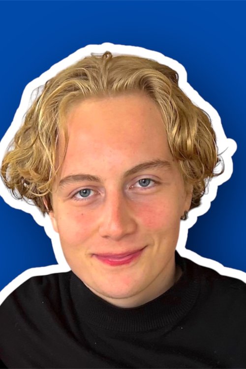 Výuka: Angličtina
